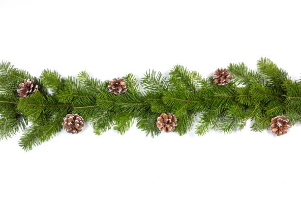 istock Christmas fir decoration on white 1279956636