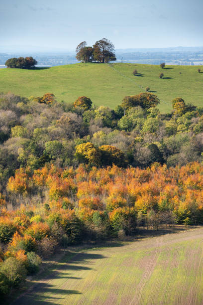 istock Autumn In The Chiltern Hills, Buckinghamshire 1279959851