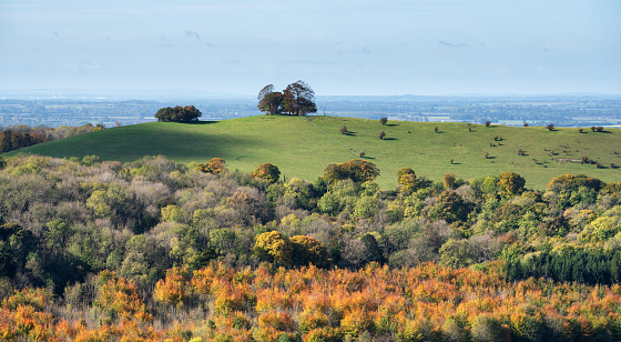 The view looking out from Coombe Hill towards Cymbelline's Mount. Autumn in the Chilterns.