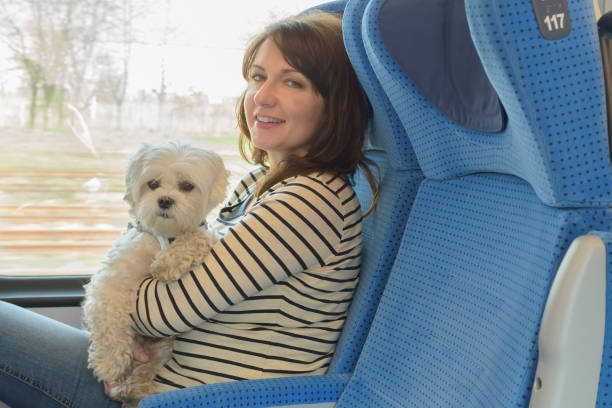 istock Dog traveling by train with his owner 1279965158