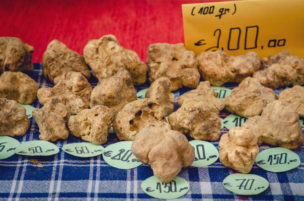 istock Alba white truffles on a market stall with price tags 1279966472