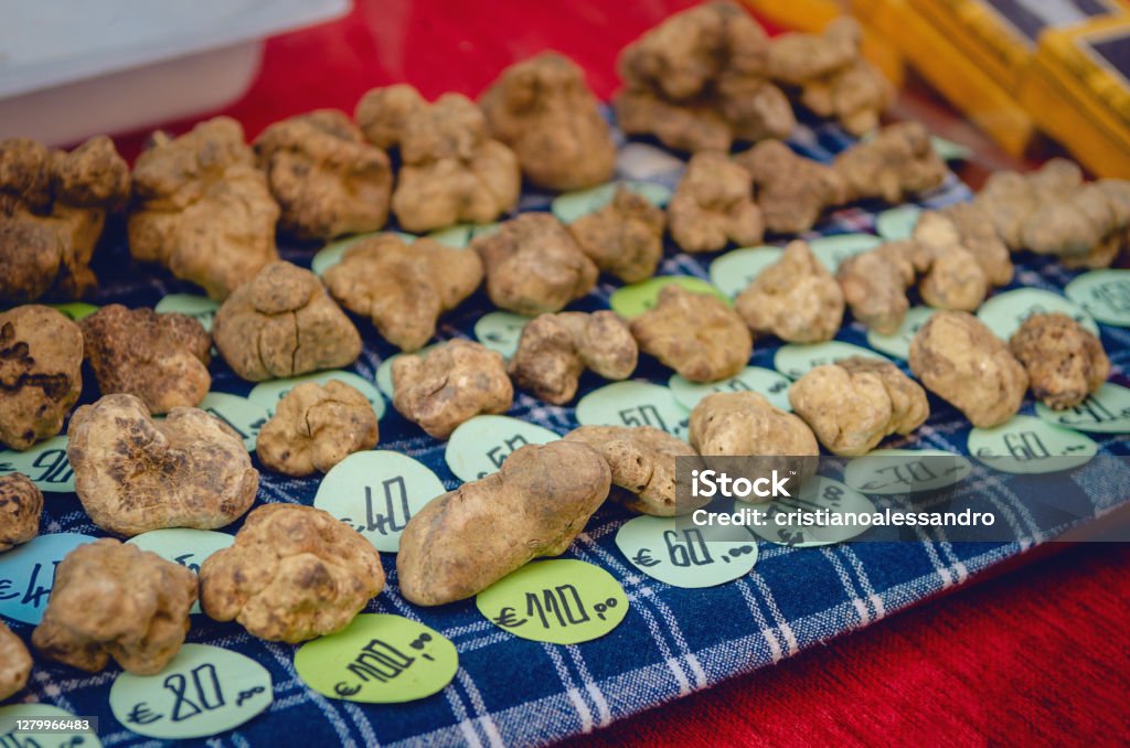 Alba white truffles on a market stall with price tags White Truffles (Tuber Magnatum Pico) on a trader stall of the Fiera del Tartufo (Truffle Fair) of Alba, Piedmont (Italy), most important international truffle market in the world Market - Retail Space Stock Photo