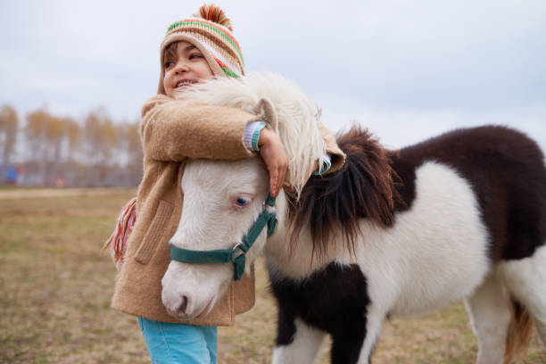 счастливая девушка обнимать маленький пони - horse child pony little girls стоковые фото и изображения