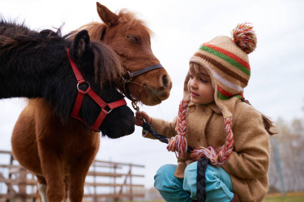 terapia assistita da animali con pony carini - horse child pony little girls foto e immagini stock