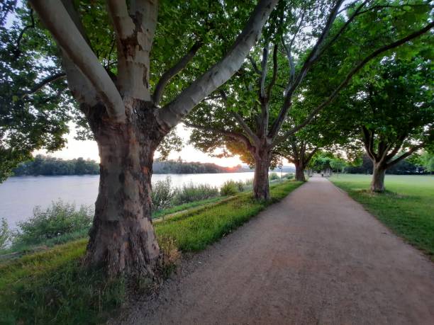 istock Walk on coast of River Rhein 1279967999