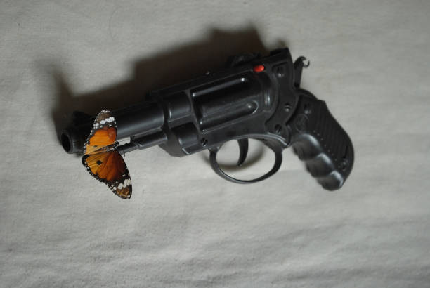 A Pistol and a butterfly on it's barrel.