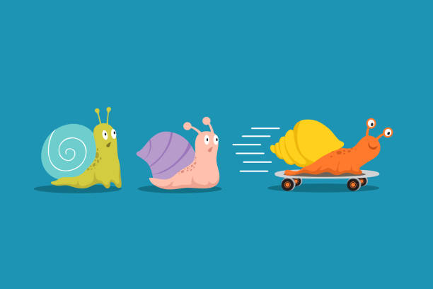 Slow Fast Clipart
