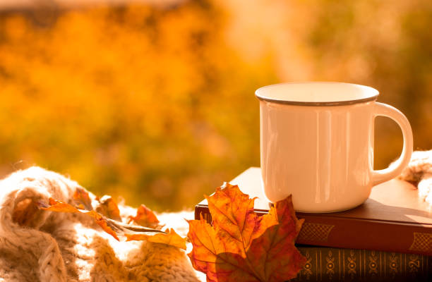 taza, libros, manta y hoja de naranja de arce en la calle. vista lateral - septiembre fotografías e imágenes de stock