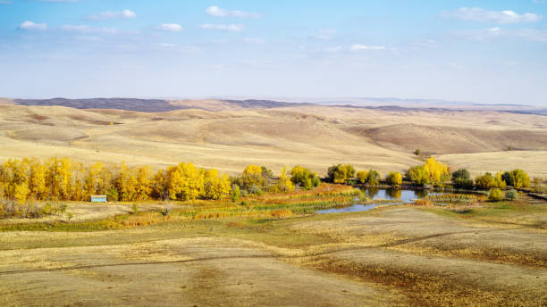 Autumn landscape with a pond on the steppe river