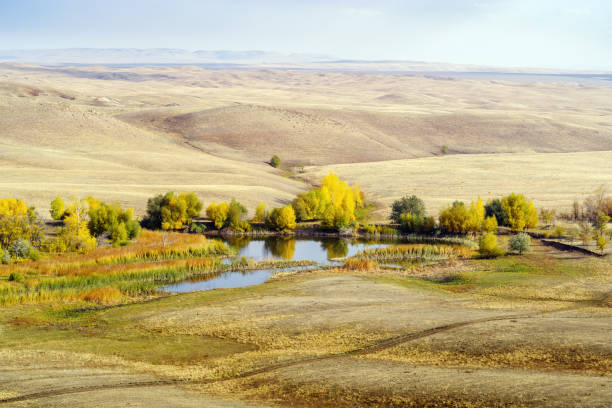 istock Autumn landscape with a pond on the steppe river 1279974288
