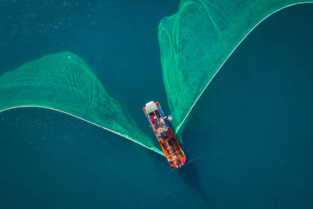 Drone view of fishing boat on the sea, looks like wings of the boat