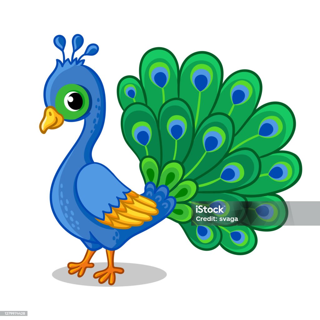 Cute Beautiful Blue Peacock On A White Background Vector ...