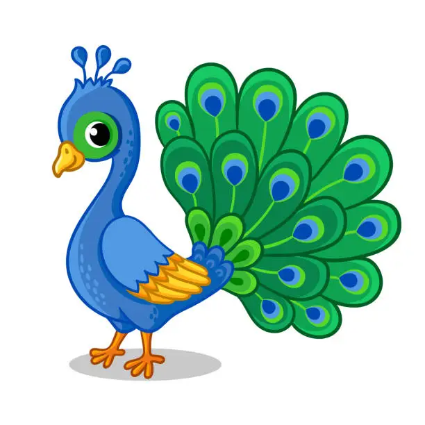 Vector illustration of Cute beautiful blue peacock on a white background. Vector illustration with a bird.