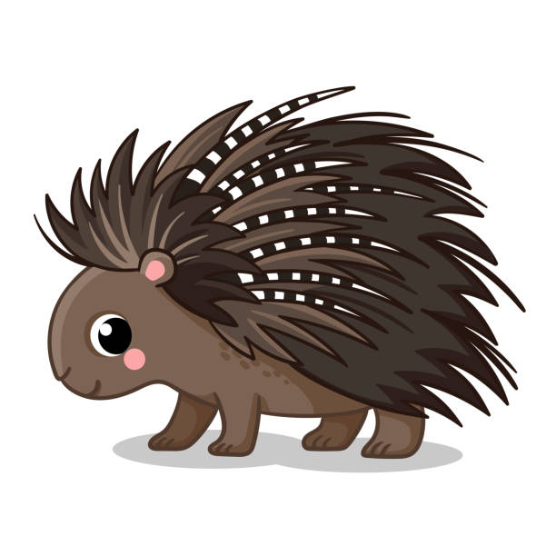 A cute porcupine stands. Vector illustration in cartoon style. A cute porcupine stands on a white background. Vector illustration in cartoon style. porcupine hedgehog rodent animal stock illustrations