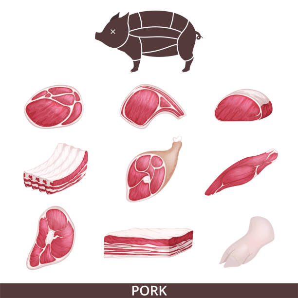 Lamb, pork beef, and other meat pictures in flat style. Steak of beef, raw pork meat. Lamb, pork beef, and other meat pictures in flat style. Steak of beef, raw pork meat. Vector illustration pork loin stock illustrations