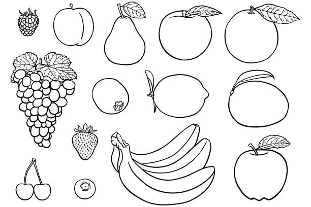 Simple drawings of fruit for coloring books Vector illustration of various fruit. There is raspberry, plum, pear, peach, orange, grapes, kiwi, lemon, mango, strawberry, bananas, cherries, bilberry, and apple. bilberry fruit stock illustrations