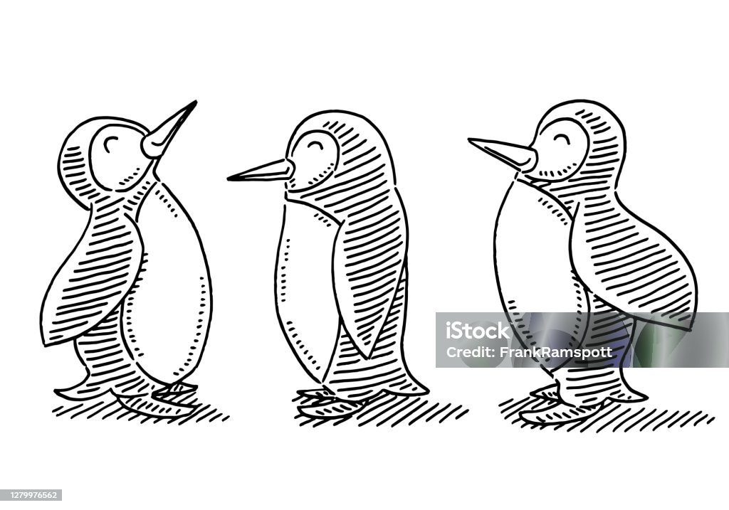 Dễ Thương Phim Hoạt Hình Chim Cánh Cụt Vẽ Hình minh họa Sẵn có - Tải xuống Hình  ảnh Ngay bây giờ - Chim cánh cụt, Đen trắng, Động vật - iStock