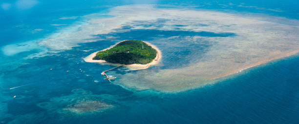 istock Tropical island with coral reef 1279976835