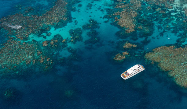 istock Coral reef with boat 1279976860