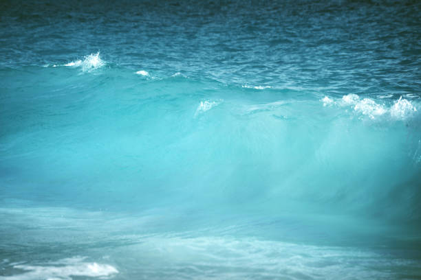 istock water of tropical sea, bokeh 1279976897