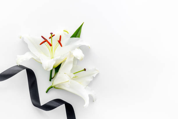 istock Funeral concept with lily and black ribbon, space for text 1279976967