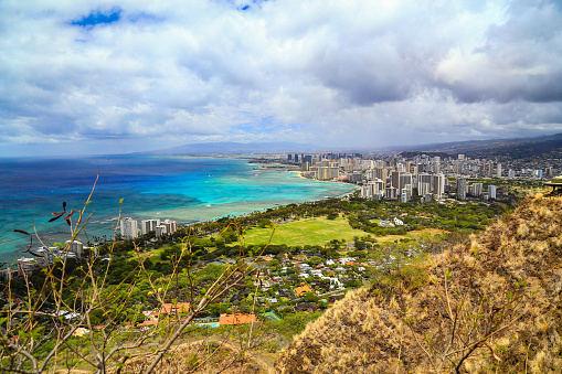 Contrast of high rise city and beautiful turquoise blue waters and beaches with plants in the foreground