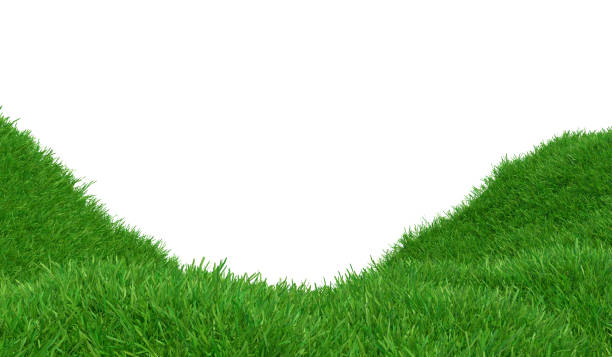 istock Green meadow in mountain. Composition of nature. 3d rendering 1279984271