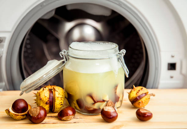 istock Make natural liquid laundry soap. Soaking horse chestnut, Aesculus, buckeye in water, witch containing natural saponin the cleaning matter. Jar container in front of washing machine. 1279984491