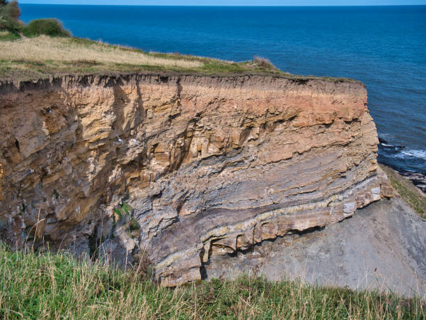 Photo of On eroded coastal cliffs near Whitby, strata of the Whitby Mudstone Formation - Sedimentary Bedrock formed approximately 174 to 183 million years ago in the Jurassic Period.