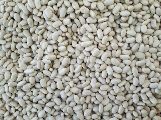 istock Close up of raw white beans texture 1279987603