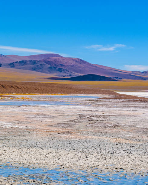 istock Brava Lagoon Reserve, La Rioja, Argentina 1279988422