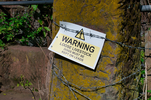 A plastic sign fixed to a sandstone pillar with barbed wire warns dog owners that livestock is loose in the field they are entering and that dogs must be kept on a lead.