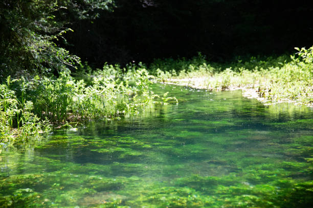 istock Larzac's crystal clear waters 1279991410