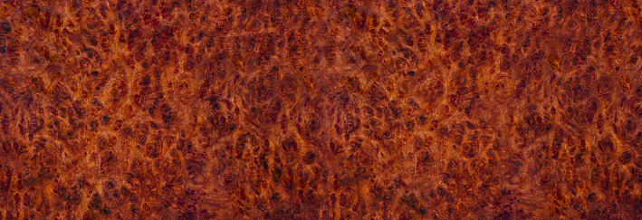 Nature Burma padauk burl wood striped are a wooden beautiful pattern for crafts or art background