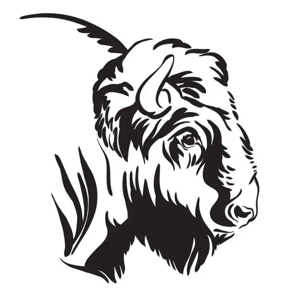 Vector illustration of Abstract contour portrait of the bison vector