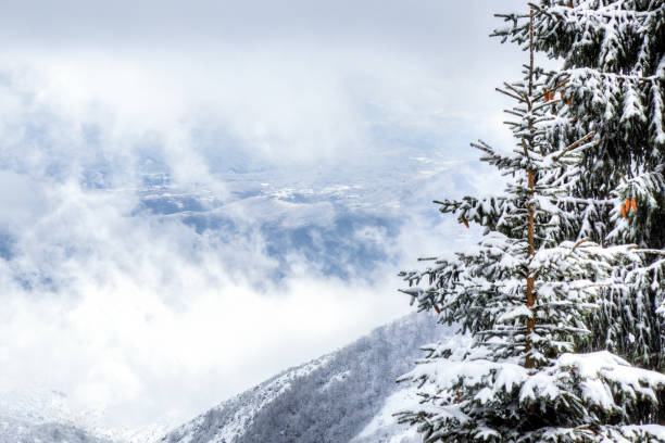 istock Mountain Kopaonik, Serbia 1279993417