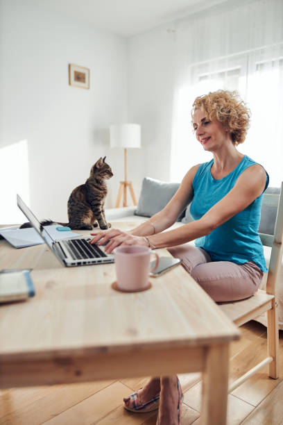 istock Woman working from home on a laptop / notebook with cat pet with her. 1279995364