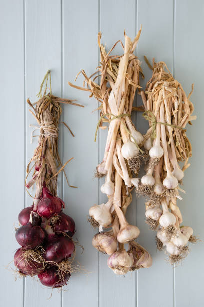 trenzas de cebolla y ajo - garlic hanging string vegetable fotografías e imágenes de stock