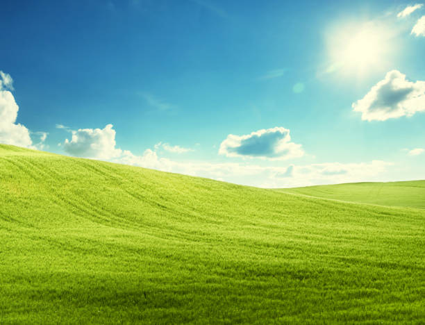 istock field of grass and perfect blue sky 1279997103