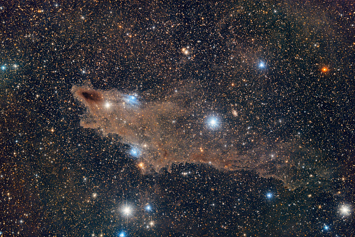 Dark Shark Nebula LDN1235