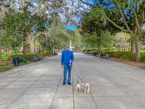 Senior caucasian man is walking his small dogs in Forsyth Park by the Friendship Fountain during the day in historic Savannah, Georgia