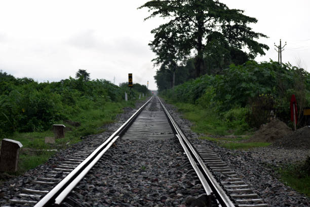 istock Picture of Railway track and trees 1280001150
