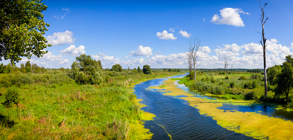 Holidays in Poland - view of the Narew River in Wielkopolskie province