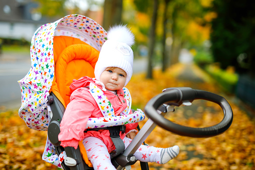 Cute little beautiful baby girl sitting in the pram or stroller on autumn day. Happy healthy child going for a walk on fresh air in warm clothes. Baby with yellow fall maple trees in colorful clothes.
