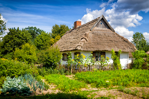 Sierpc, Poland - August 24, 2020:Traditional 19th-century rural thatched house, painted white, with a vegetable garden in the village of Sierpc in Mazovia