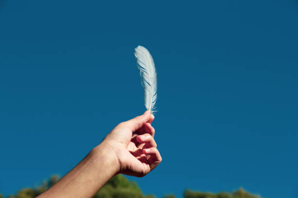 istock feather extended to the blue sky. 1280009553