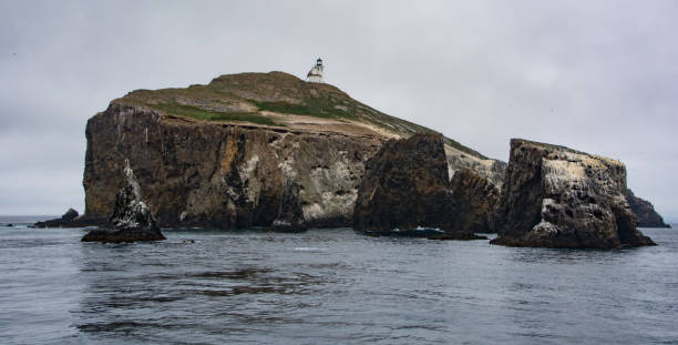 istock Anacapa Island Lighthouse and rocky outcrops 1280010258
