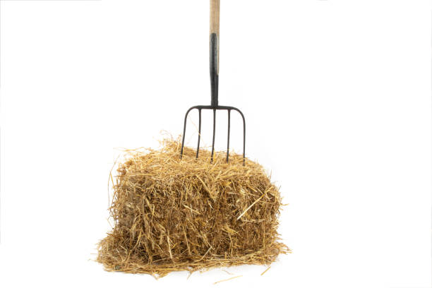istock an old pitch fork stuck in a straw bale isolated on white 1280010962