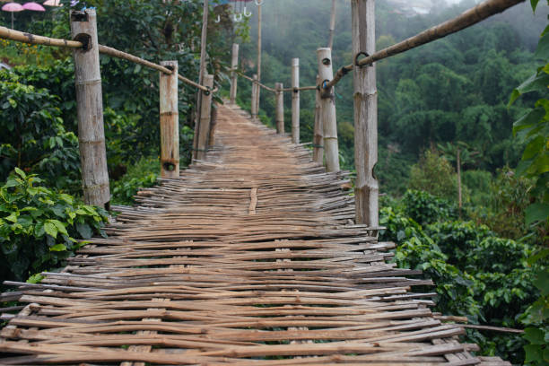 istock Bamboo bridge On the mountain in thailand 1280011181