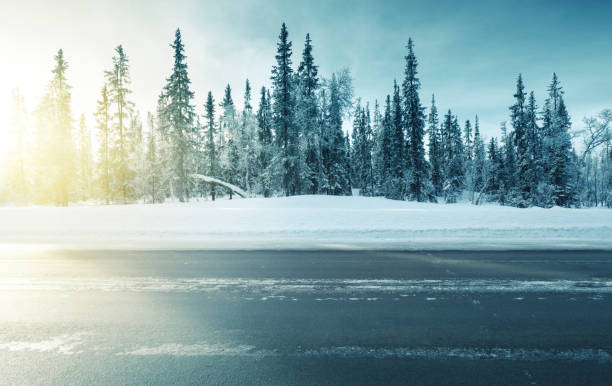 istock road in winter forest, sunset time 1280011525